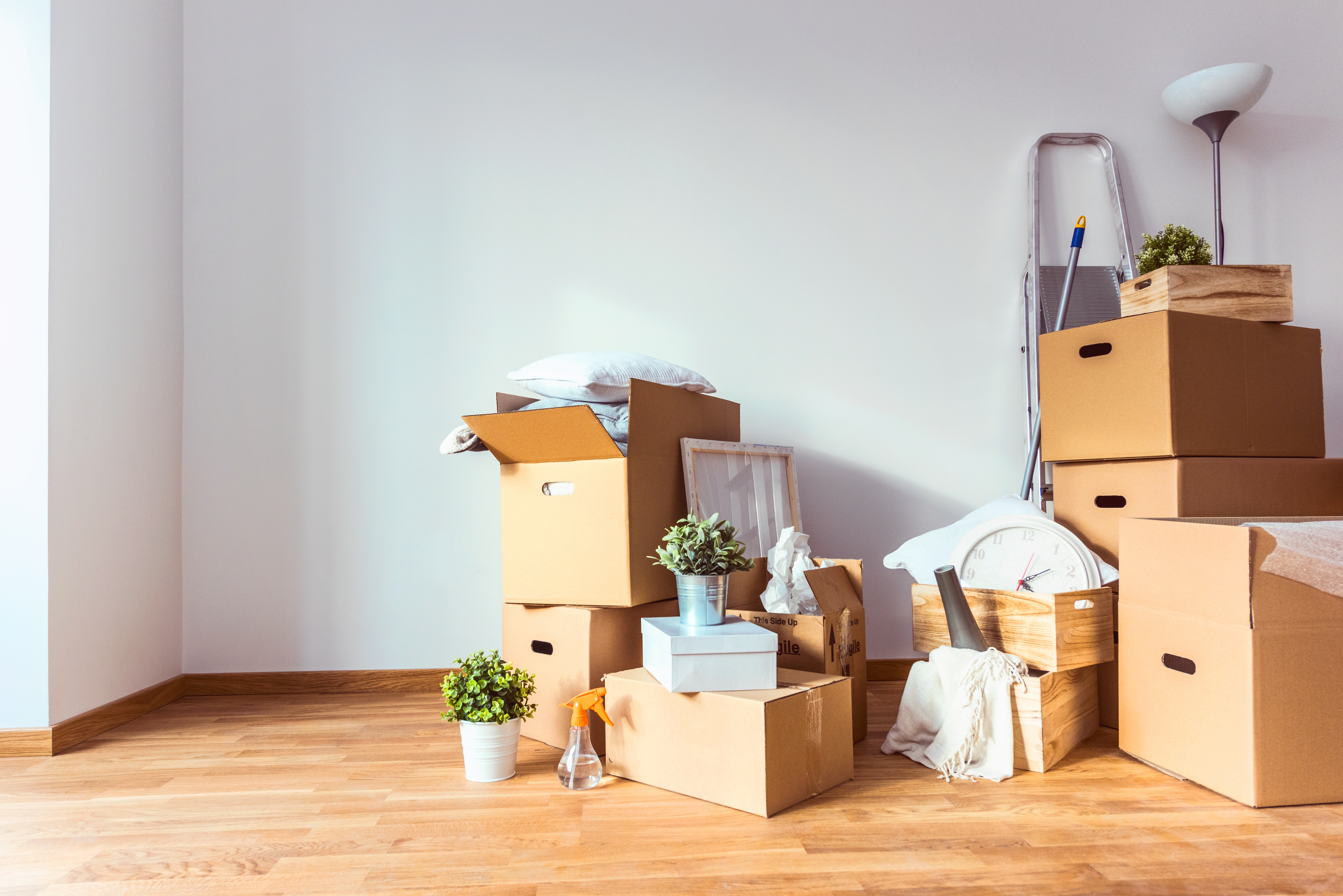 Expert Tips and Packing Advice for a Stress-Free Transition to Your New Home