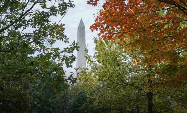 DC Fall Bucket List: 10 Amazing Things You Need to Do in the Fall