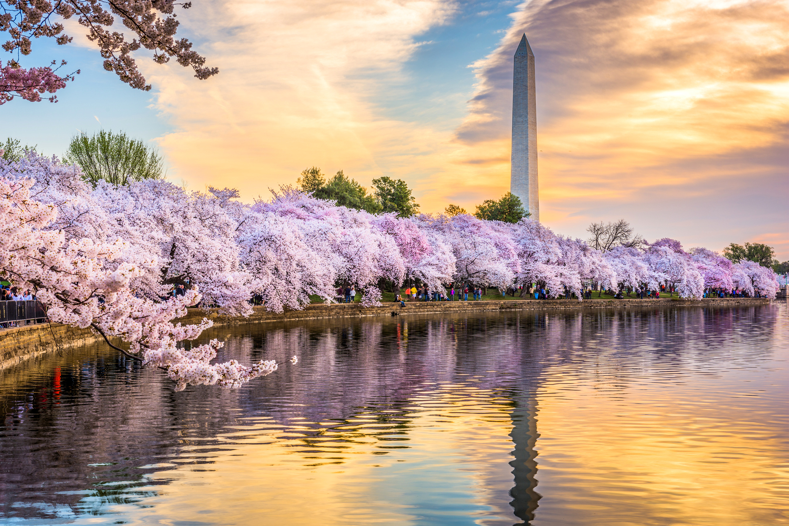 Making the Most of Springtime in Washington, DC